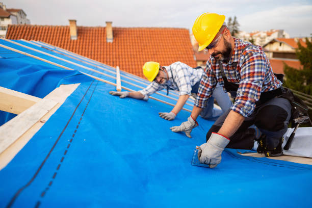 Best Green or Eco-Friendly Roofing Solutions  in Coal Grove, OH